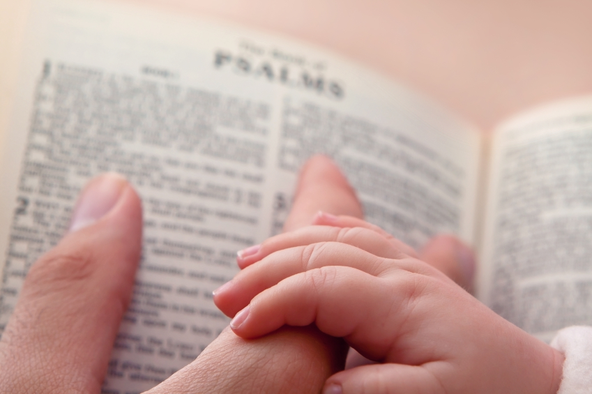 Where To Start Reading The Bible Daily